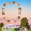 (주)코리아세븐 원주한신3차점 | 가을의 시작