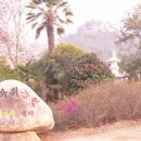 솔바위 Daum카페