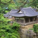 [모객중] 육지속의 섬마을 회룡포마을 : 내셩천 뿅뿅다리+토마토따기체험 이미지