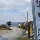 춘양메밀막국수