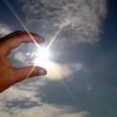 호랭이카 이미지