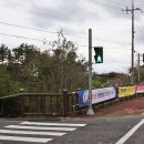 제주 안덕계곡 상록수림 이미지