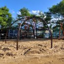 대구교육대학교안동부설초등학교 이미지