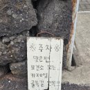 프리튀르 | [제주 여행] 부모님이 너무 좋아했던 제주 카페! 프리튀르 카페 찐후기