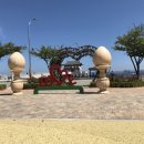 포항렌트카