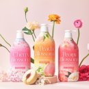 블로썸코리아 이미지