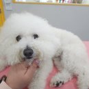 뚜뚜네 미용실 이미지