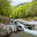 거창-거창-5 이미지