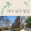 계명대월드태권도 | [대구 앞산] 아름다운 앞산 벚꽃/앞산 개나리/파릇파릇한 봄/남구구민체육광장 축구/+동네 산책로( ु...