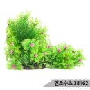 삼호수족관