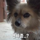 베테랑목장 이미지