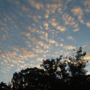 경기도 파주 초가을 하늘에 노을 구름 (2009.8.22 ,6 PM) 이미지