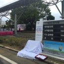 수영1태양광발전소 이미지