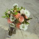 피다(Pida) 이미지