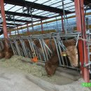 인하농장 이미지