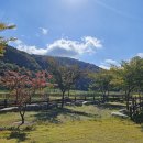 북평농협 이미지