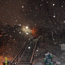 대학로 언덕에 자리한 낙산 몽마르뜨의 눈내리는 겨울밤 엘레지^^