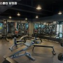 웰핏헬스클럽