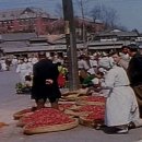 평화대성약국 이미지