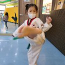 당리태권도 이미지