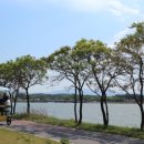 최고자원 이미지