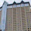 영월스키 이미지