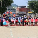 영양중앙초등학교 이미지