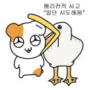 행운카 - 화성시 당성로 117 | 행운카