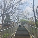 무양공원 유아숲체험원 이미지