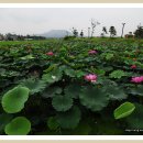 근재집 책판 이미지