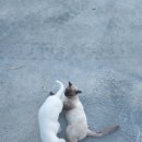 예본농장 이미지