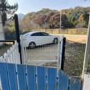 운동장화장실 | [내돈내산] 제이그라운드(과천)_애견단독운동장_주차_화장실_솔직후기