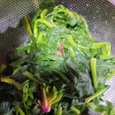 국용농장 이미지