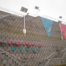 인삼약초시장 이미지