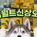 세계종합공구