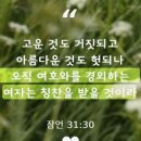 THE 고운 - 금천구 | THE 고운