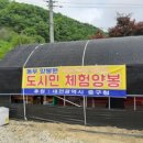 대전양봉원