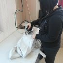 의류수선리폼 초급 이미지