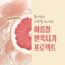 [다이어트] 2030여성 다이어트 티 - 바이탈해빗 클렌즈 후기 (feat.자몽블랙티)