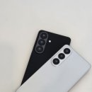 사파동256 이미지