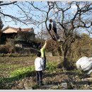 호수 정원 펜션 이미지