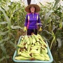 맛 찬꾸러미 이미지