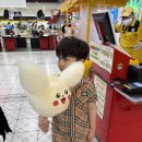 비발디송어골 | 가족여행) 비발디파크 소노벨 스위트룸 송어회 맛집 송어골 오션월드 후기