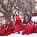티벳 2007년2월 최근 소식과 티벳 설날 풍경 (사진) 이미지