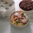 스튜디오콜렉티브 이미지