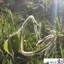 두란농장 이미지