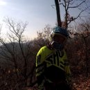모토부스