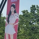 크로커다일레이디경기장암 | 여자아이들 콘서트 막콘 후기 kspo doem 체조경기장 2층 29구역 시야