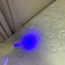 서한이다음세탁 이미지