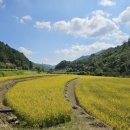 통골농장 이미지